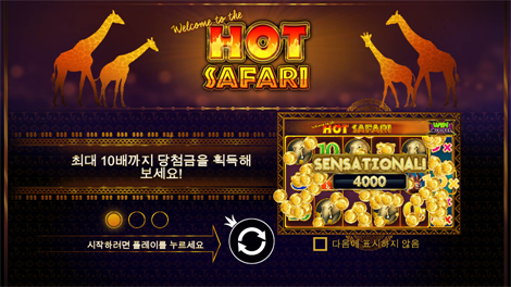 피라미드 보난자