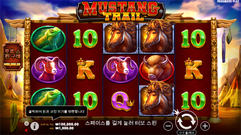 골든 OX