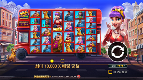 스트리트 레이서