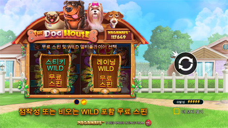 캐시 엘리베이터